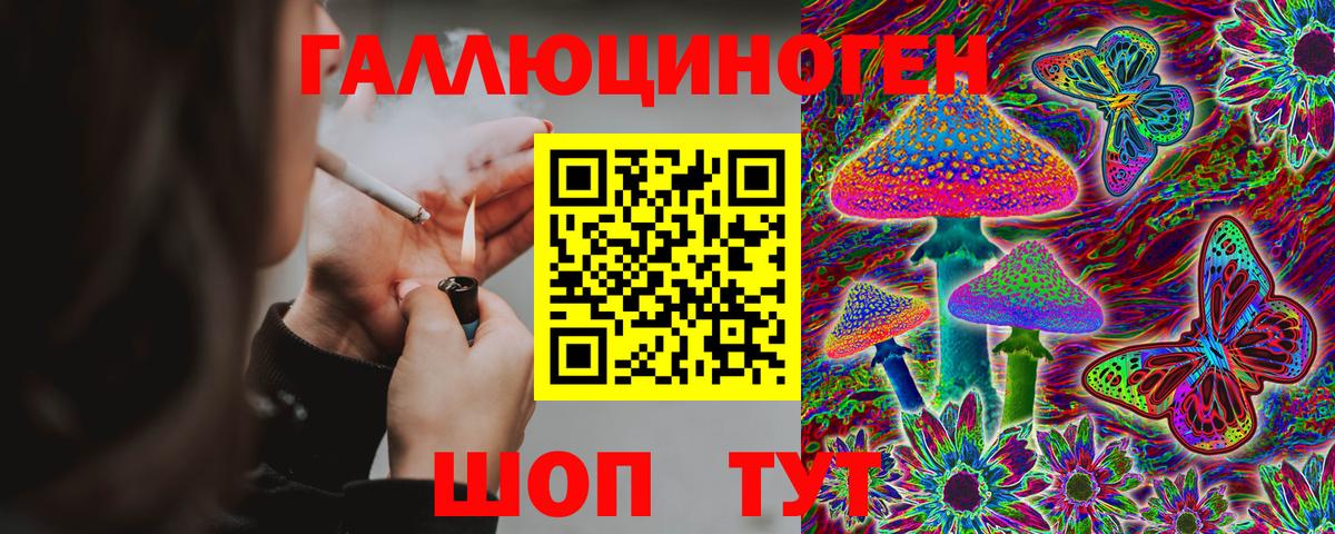Галлюциногенные грибы мухоморы  Вход с VPN  Заводоуковск 
